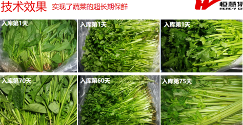 果蔬肉食儲藏解決方案(圖2) 果蔬肉食儲藏解決方案(圖2)