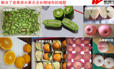 果蔬肉食儲藏解決方案(圖3) 果蔬肉食儲藏解決方案(圖3)
